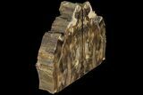 Petrified Wood Bookends - Oregon #99315-2